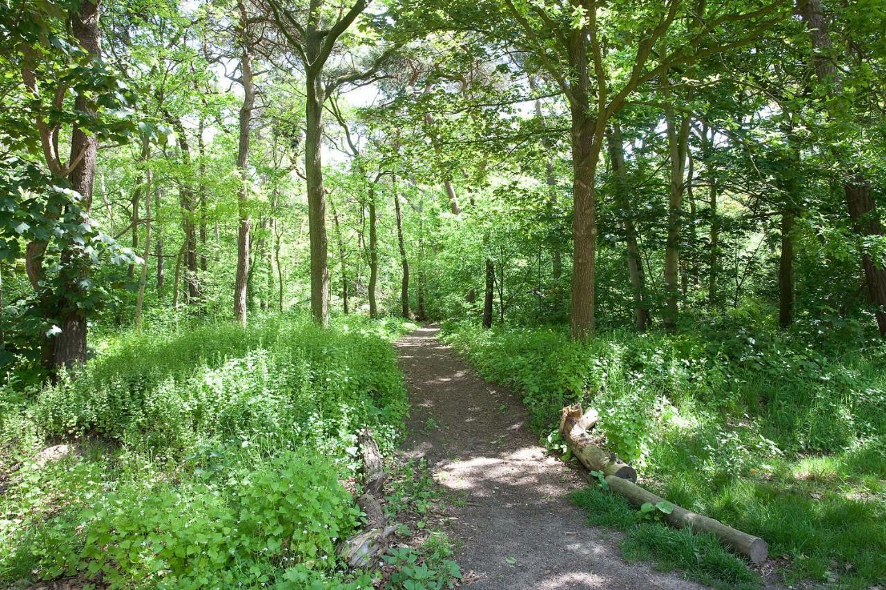 Betonnen Boshuis Oosterhout  Extérieur photo
